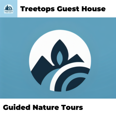 Guided Nature Tours